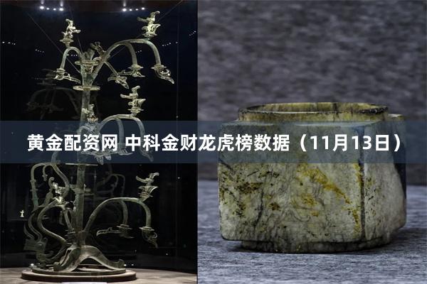 黄金配资网 中科金财龙虎榜数据（11月13日）