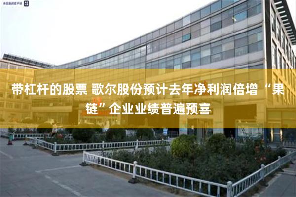 带杠杆的股票 歌尔股份预计去年净利润倍增 “果链”企业业绩普遍预喜