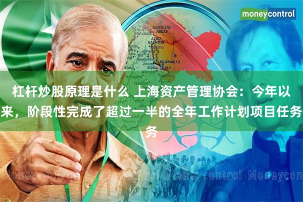 杠杆炒股原理是什么 上海资产管理协会：今年以来，阶段性完成了超过一半的全年工作计划项目任务