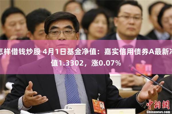怎样借钱炒股 4月1日基金净值：嘉实信用债券A最新净值1.3302，涨0.07%