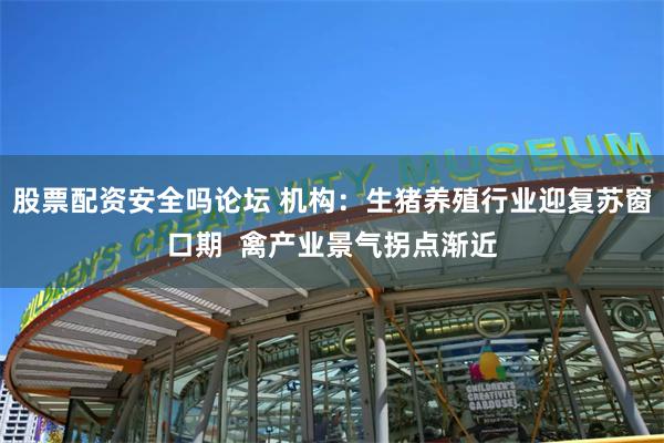 股票配资安全吗论坛 机构：生猪养殖行业迎复苏窗口期  禽产业景气拐点渐近