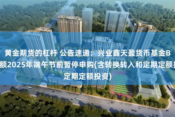 黄金期货的杠杆 公告速递：兴业鑫天盈货币基金B类份额2025年端午节前暂停申购(含转换转入和定期定额投资)