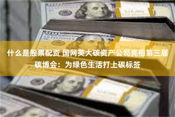 什么是股票配资 国网英大碳资产公司亮相第三届碳博会：为绿色生活打上碳标签