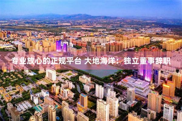 专业放心的正规平台 大地海洋：独立董事辞职