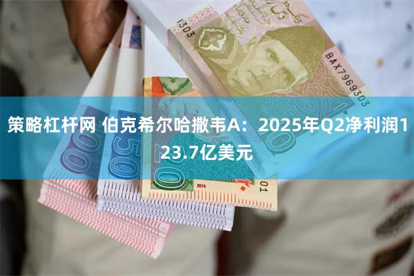 策略杠杆网 伯克希尔哈撒韦A：2025年Q2净利润123.7亿美元