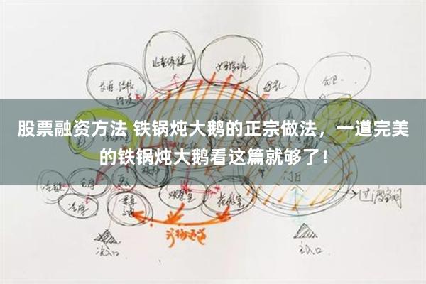 股票融资方法 铁锅炖大鹅的正宗做法，一道完美的铁锅炖大鹅看这篇就够了！