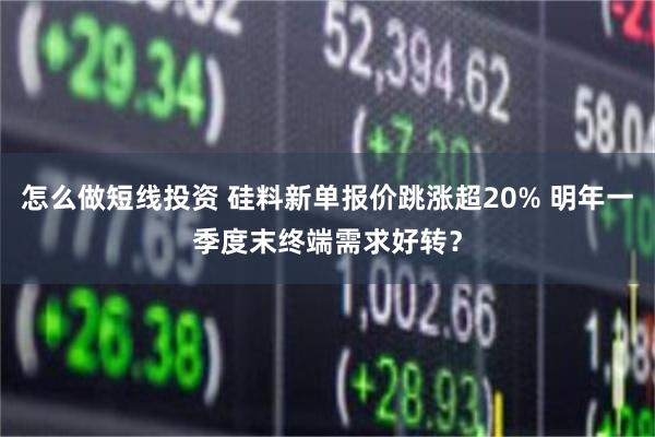 怎么做短线投资 硅料新单报价跳涨超20% 明年一季度末终端需求好转？