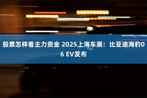 股票怎样看主力资金 2025上海车展：比亚迪海豹06 EV发布